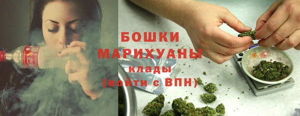 PSILOCYBIN Абдулино
