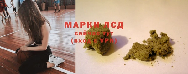 ПСИЛОЦИБИНОВЫЕ ГРИБЫ Абинск