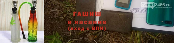 PSILOCYBIN Абдулино