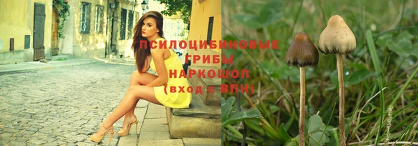 PSILOCYBIN Абдулино